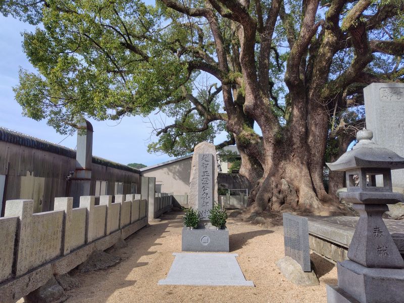 今治市別名で越智玉澄公の墓石再建のお手伝いと、除幕式に出席させて